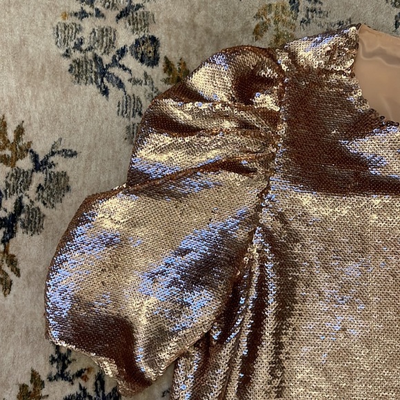 Ulla Johnson Puff Sleeve Rose Gold Top Size 10 Gently Worn - Picture 4 of 7